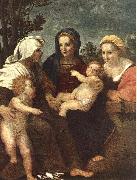 Andrea del Sarto Madonna and Child with Sts Catherine, Elisabeth and John the Baptist oil painting reproduction